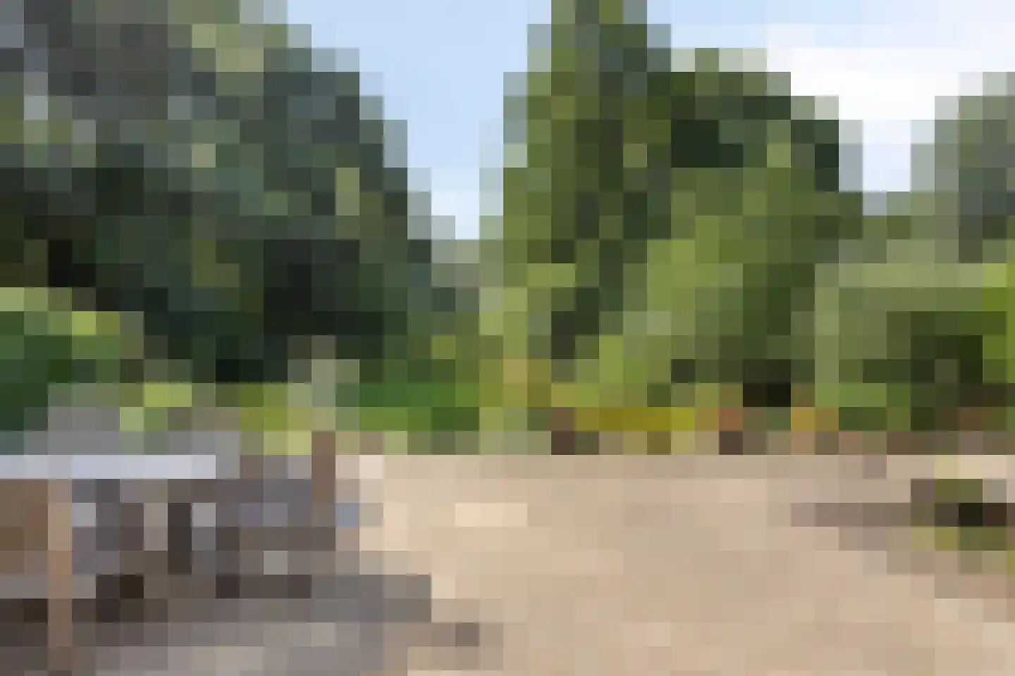 Kwadijk 45 Kwadijk thumbnail 57