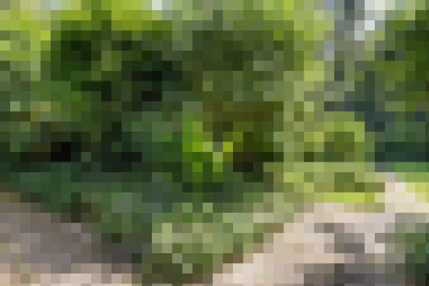 Kwadijk 45 Kwadijk thumbnail 58