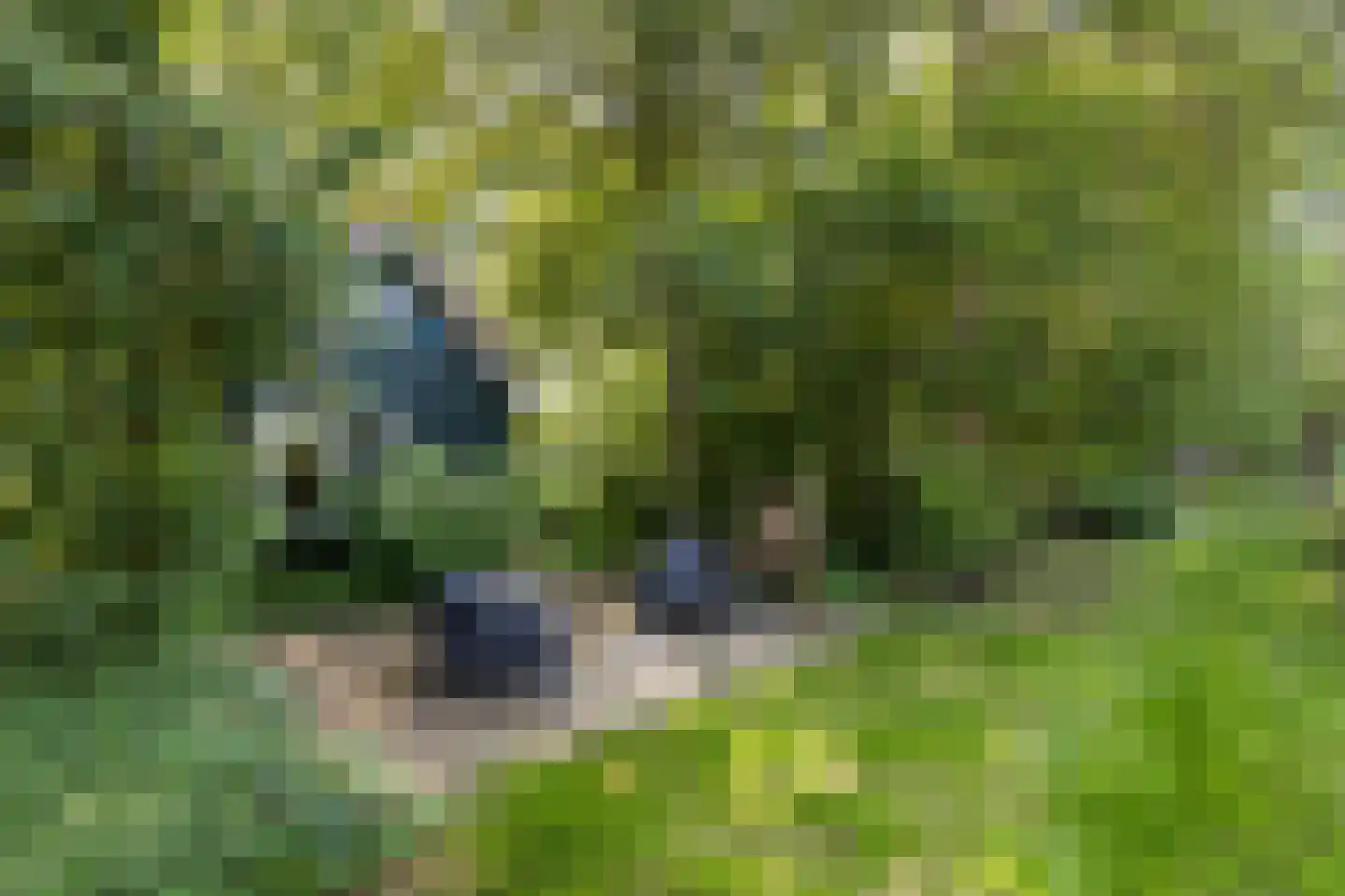 Kwadijk 45 Kwadijk thumbnail 59