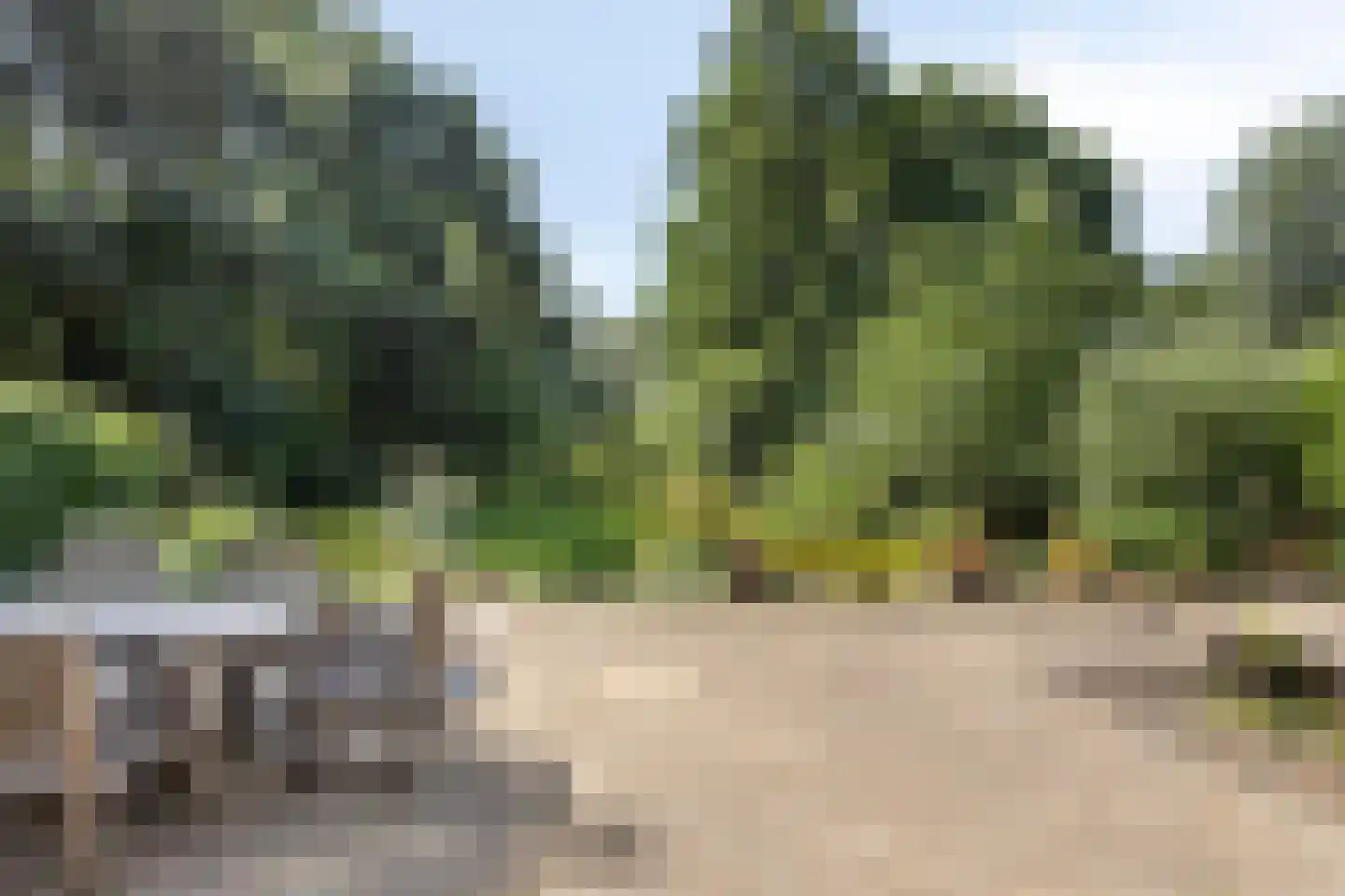 Kwadijk 45 Kwadijk thumbnail 60