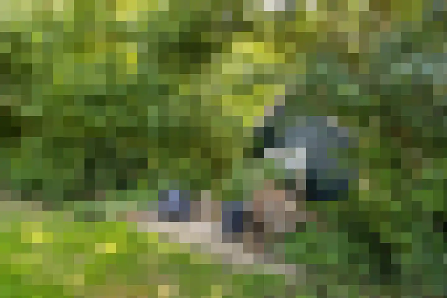 Kwadijk 45 Kwadijk thumbnail 60