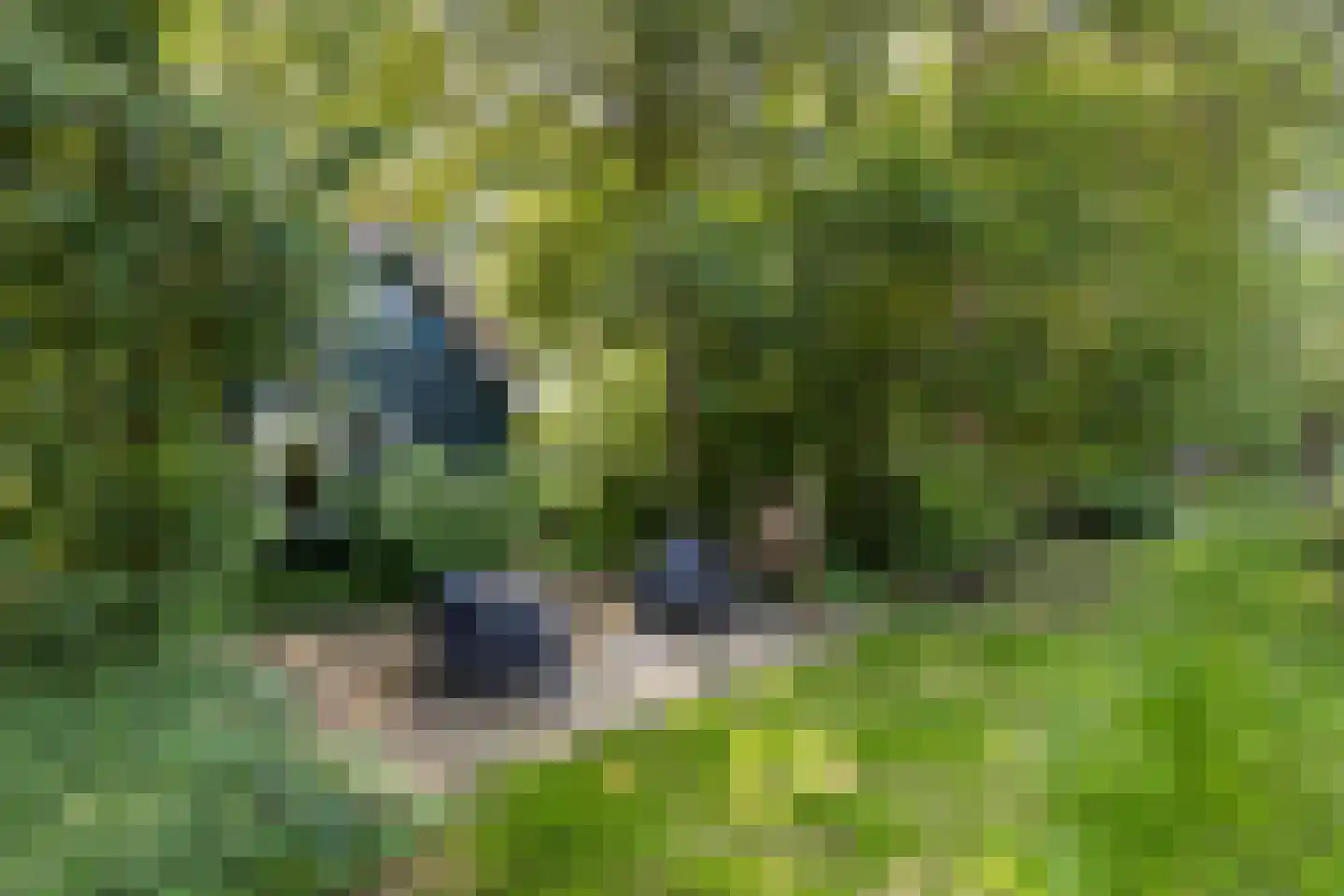 Kwadijk 45 Kwadijk thumbnail 62