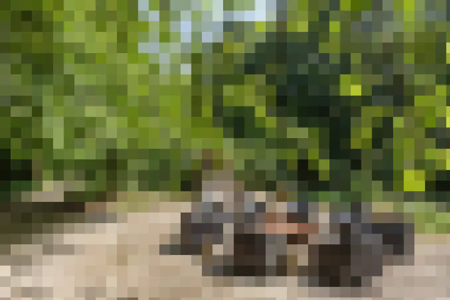 Kwadijk 45 Kwadijk thumbnail 62