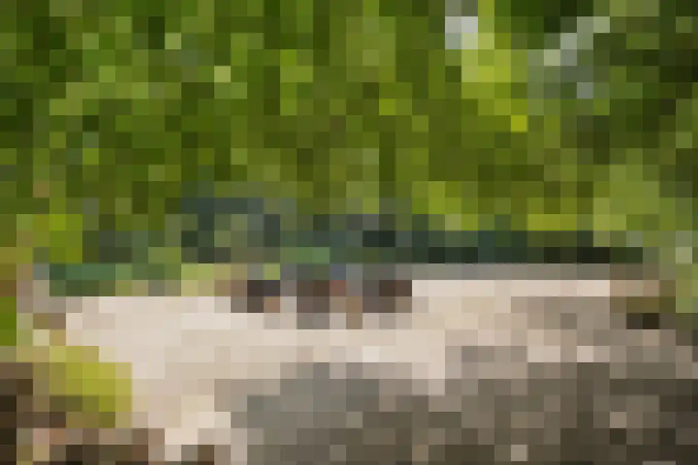 Kwadijk 45 Kwadijk thumbnail 63