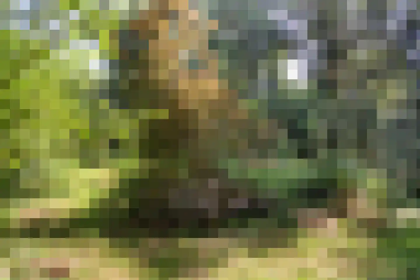 Kwadijk 45 Kwadijk thumbnail 64