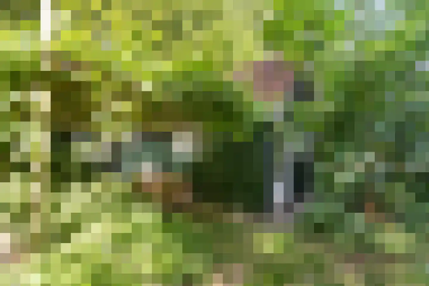 Kwadijk 45 Kwadijk thumbnail 65
