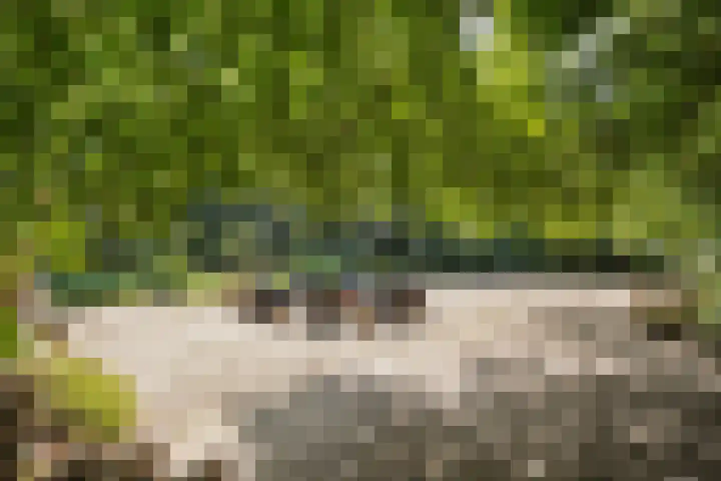 Kwadijk 45 Kwadijk thumbnail 66