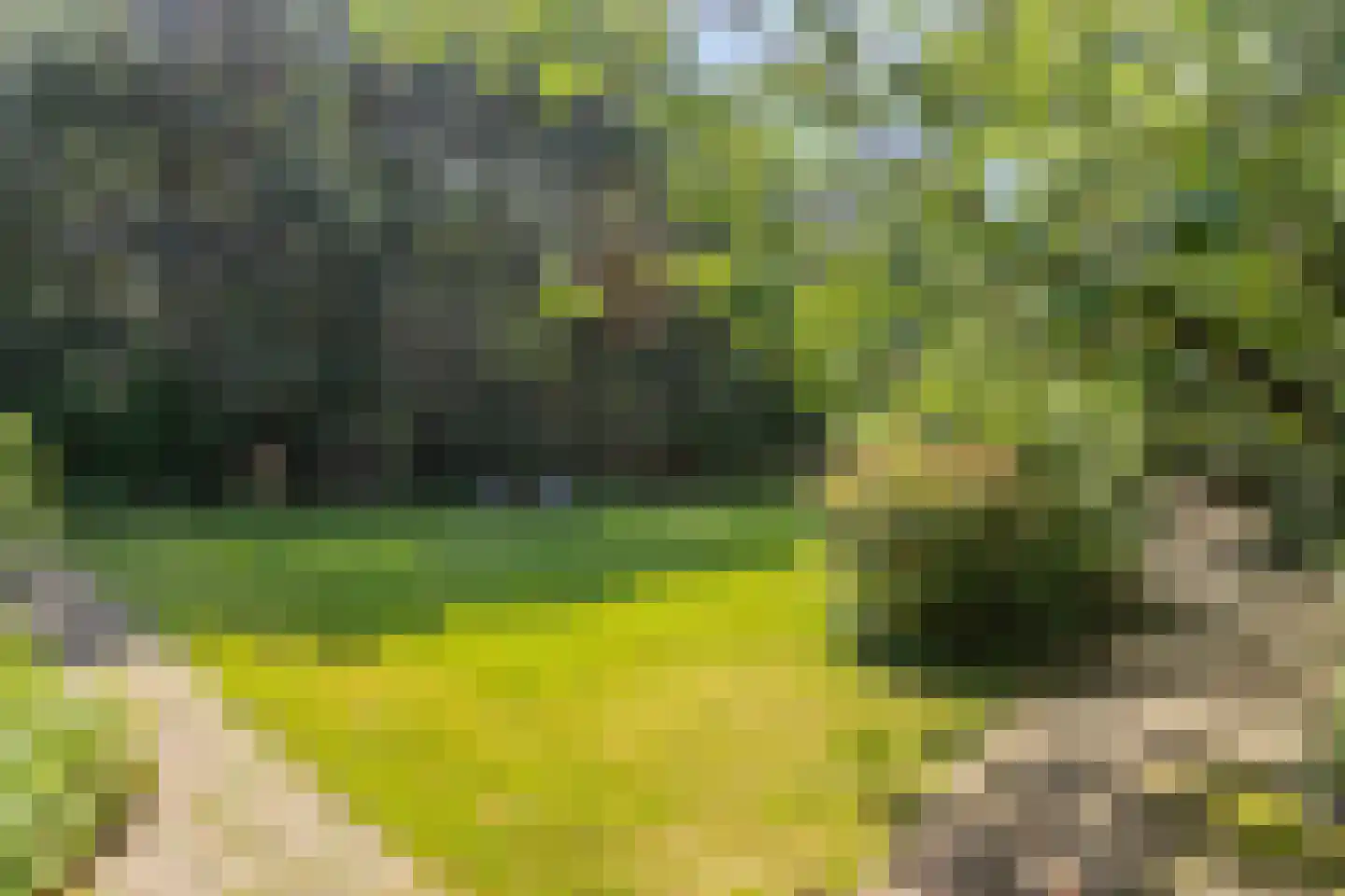 Kwadijk 45 Kwadijk thumbnail 67