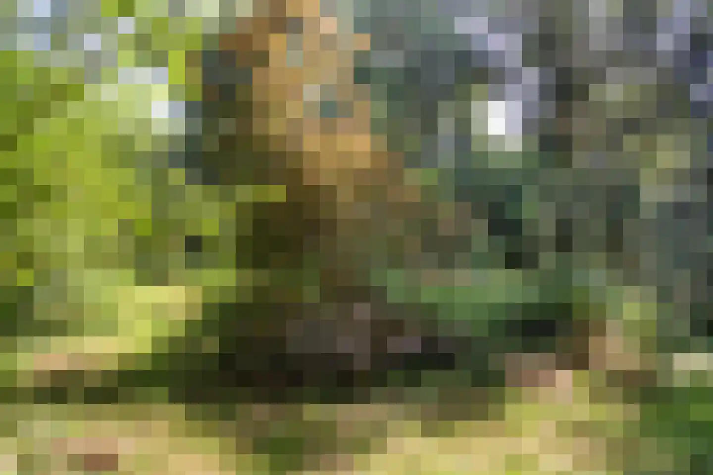 Kwadijk 45 Kwadijk thumbnail 67