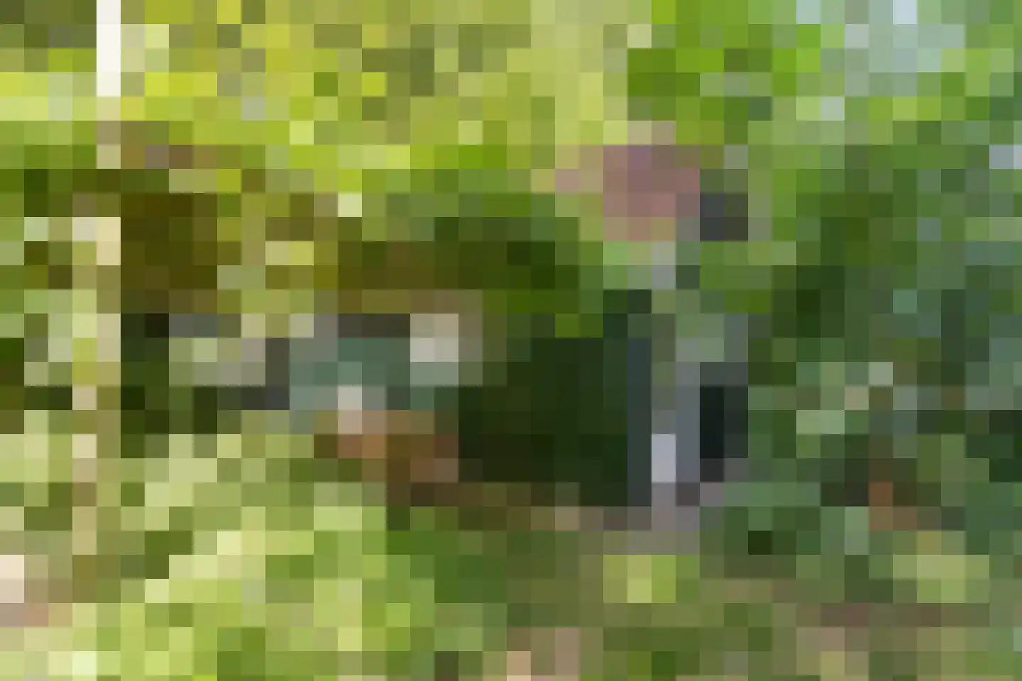 Kwadijk 45 Kwadijk thumbnail 68