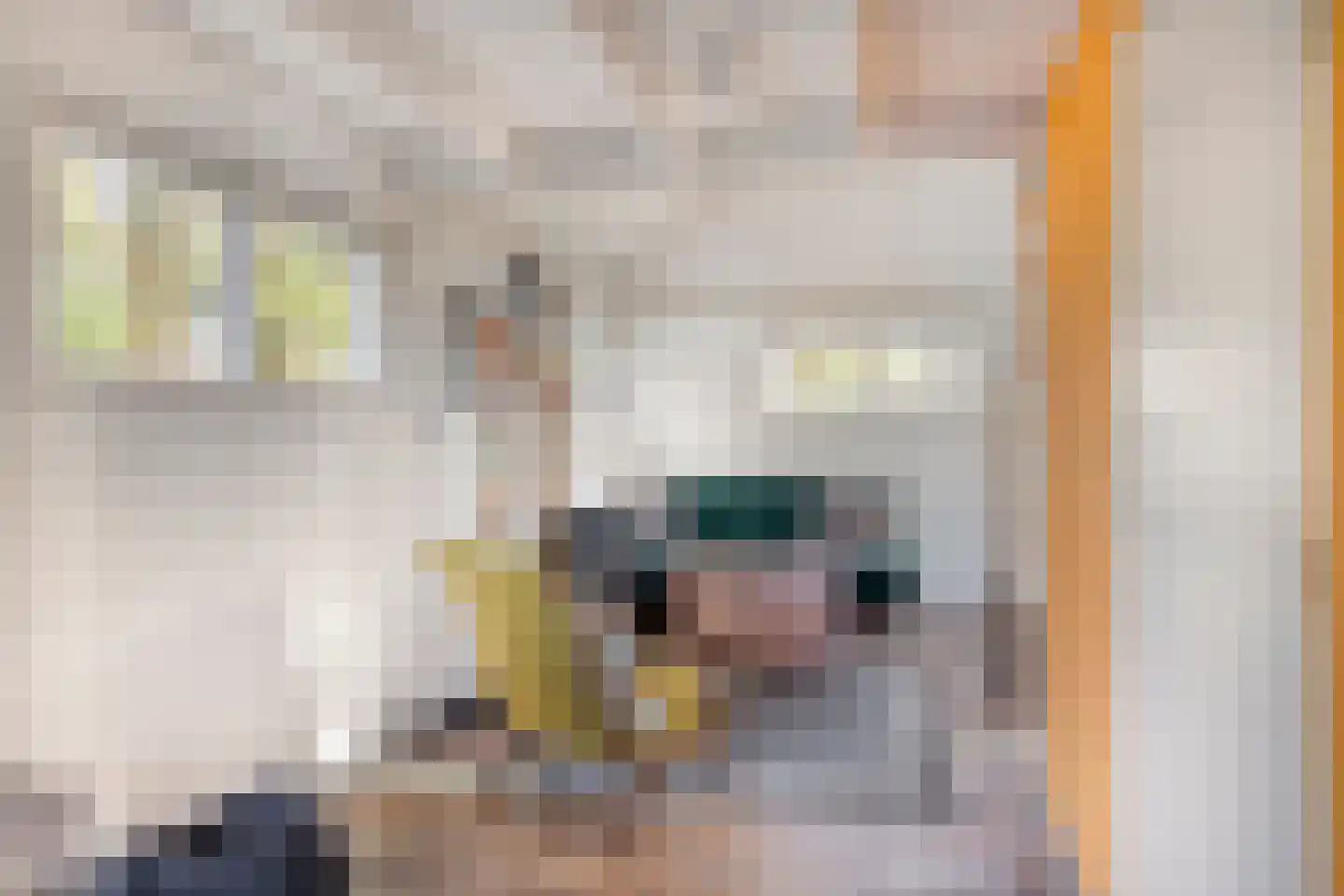 Kwadijk 45 Kwadijk thumbnail 73