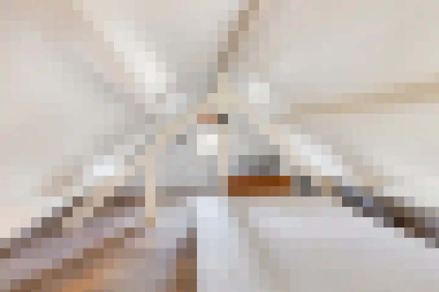 Kwadijk 45 Kwadijk thumbnail 75