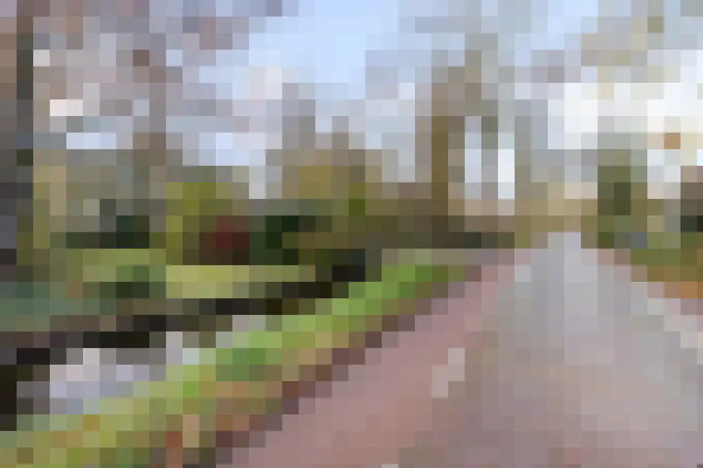 Kwadijk 45 Kwadijk thumbnail 76