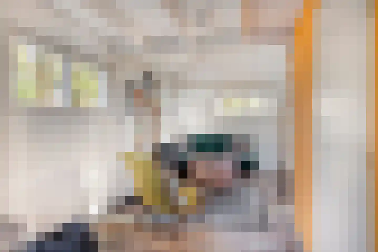 Kwadijk 45 Kwadijk thumbnail 76