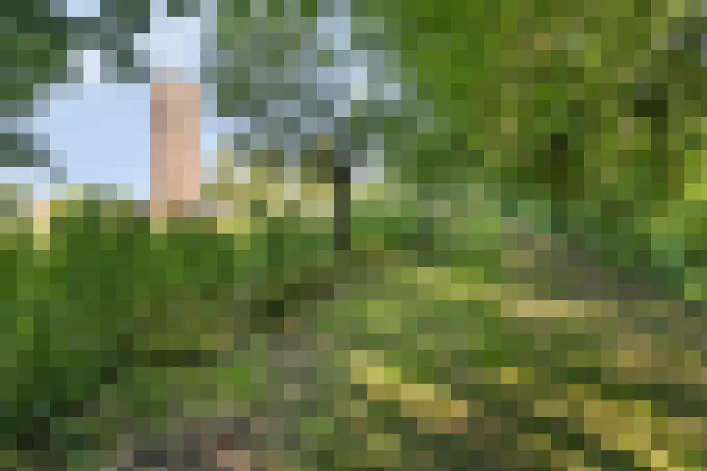 Kwadijk 45 Kwadijk thumbnail 77