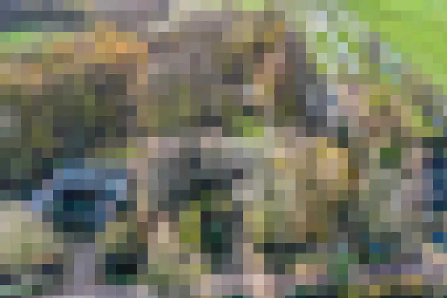 Kwadijk 45 Kwadijk thumbnail 82