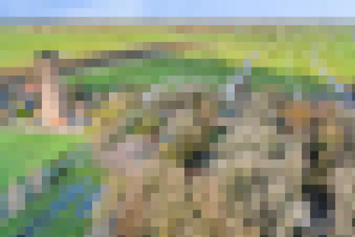 Kwadijk 45 Kwadijk thumbnail 84