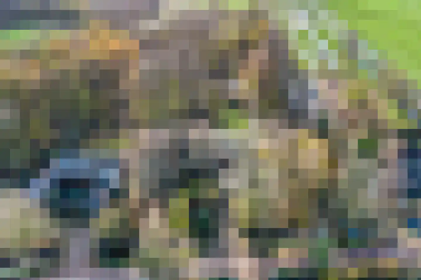 Kwadijk 45 Kwadijk thumbnail 85