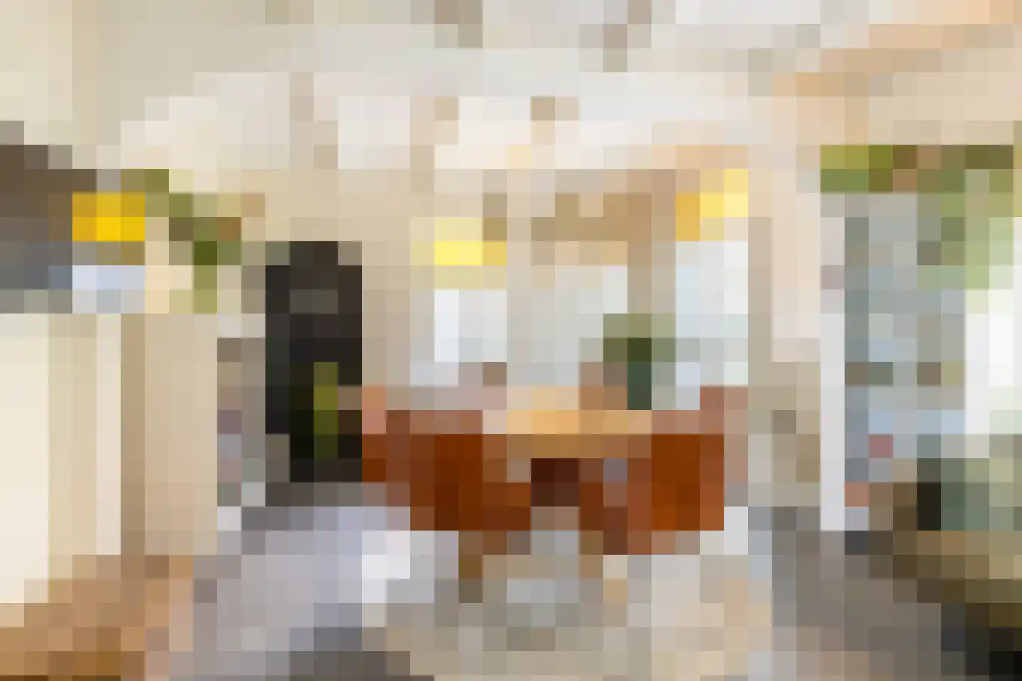 Kwadijk 46 Kwadijk thumbnail 27