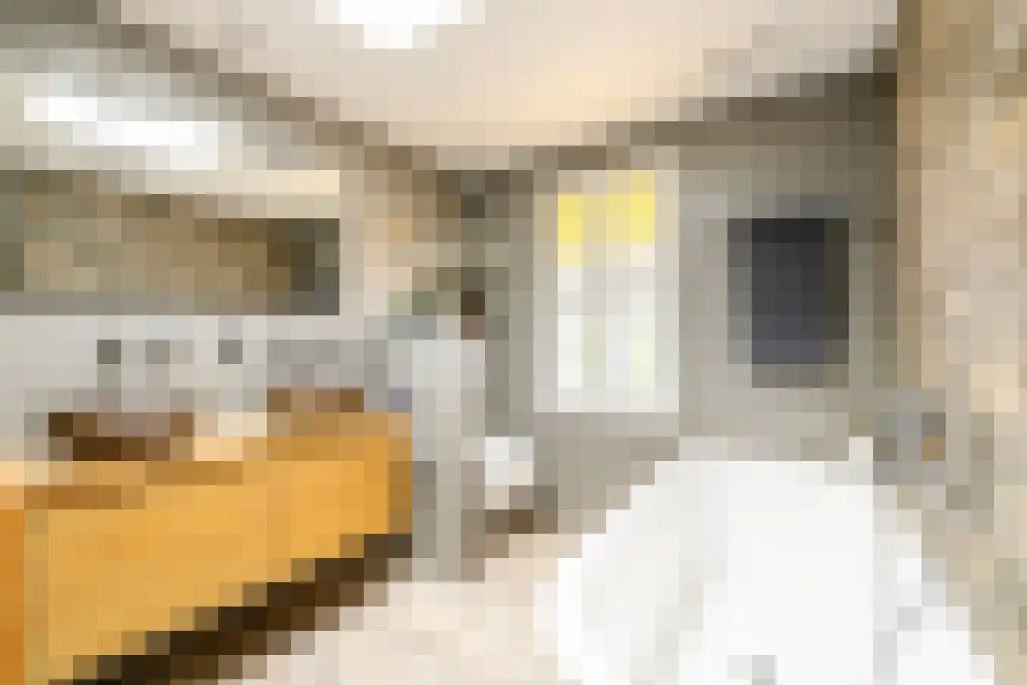 Kwadijk 46 Kwadijk thumbnail 32