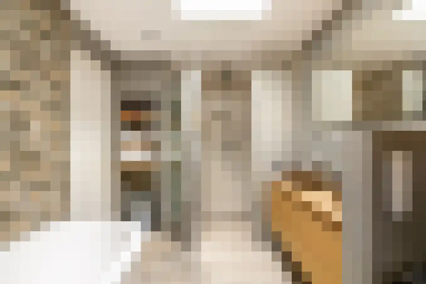 Kwadijk 46 Kwadijk thumbnail 33