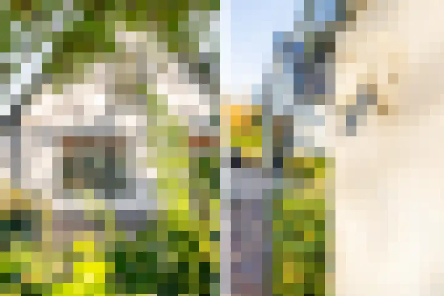 Kwadijk 46 Kwadijk thumbnail 56