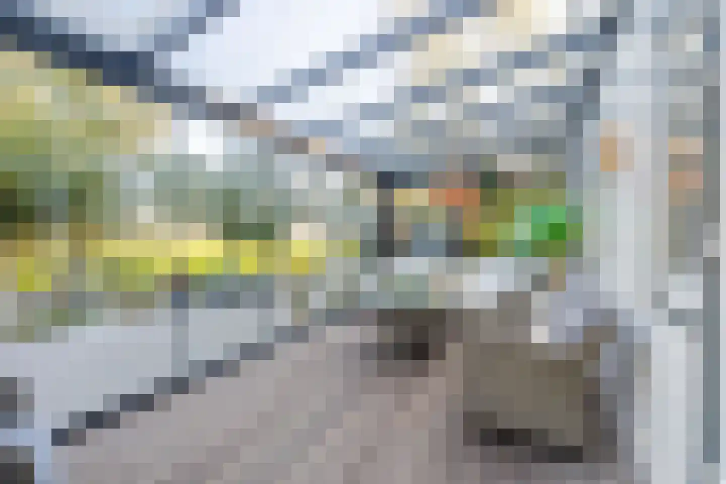 Kwadijk 46 Kwadijk thumbnail 57
