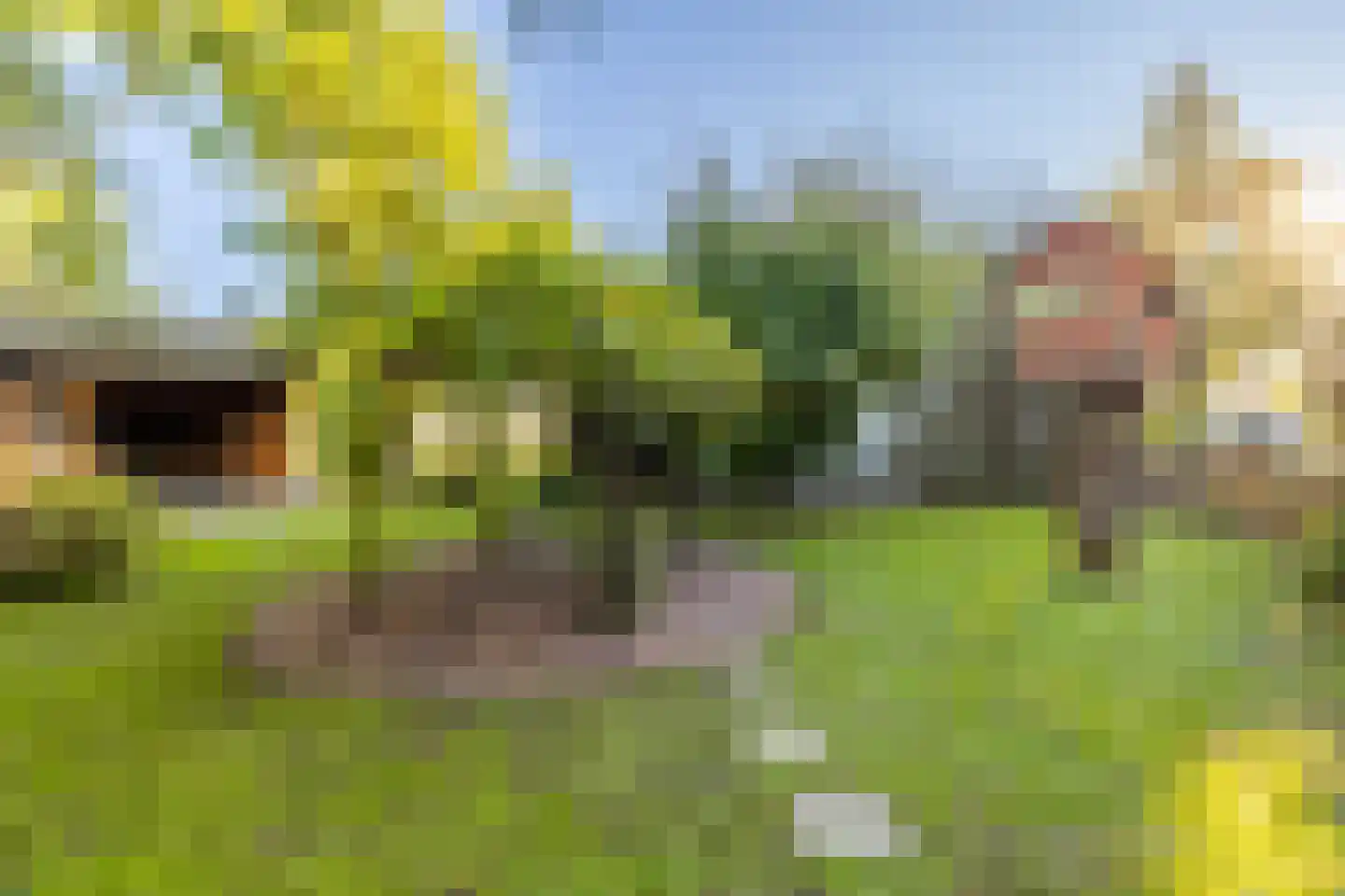 Kwadijk 46 Kwadijk thumbnail 64