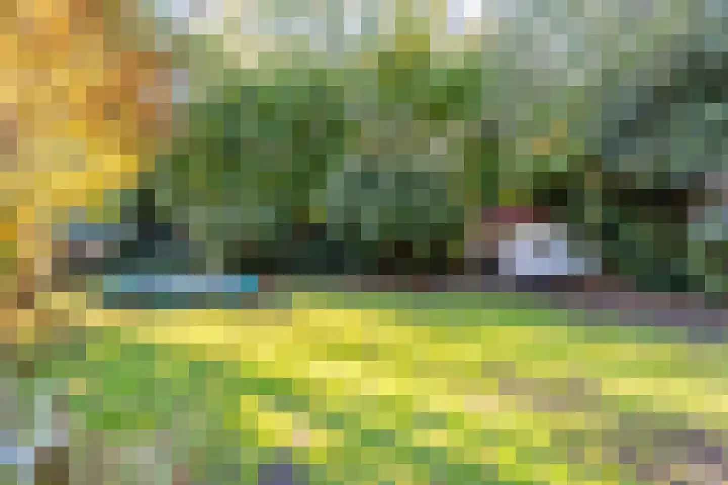 Kwadijk 46 Kwadijk thumbnail 65