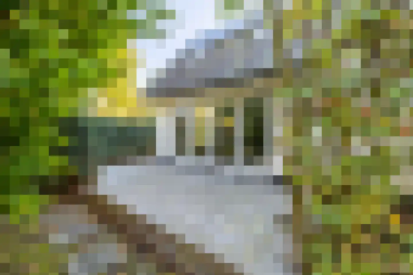 Kwadijk 46 Kwadijk thumbnail 66
