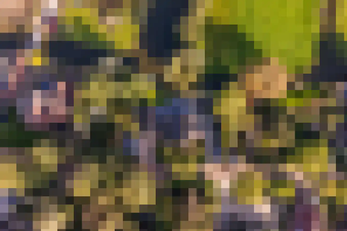 Kwadijk 46 Kwadijk thumbnail 73
