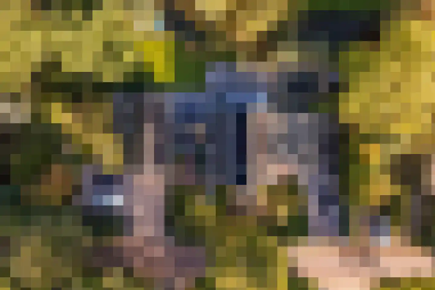 Kwadijk 46 Kwadijk thumbnail 8