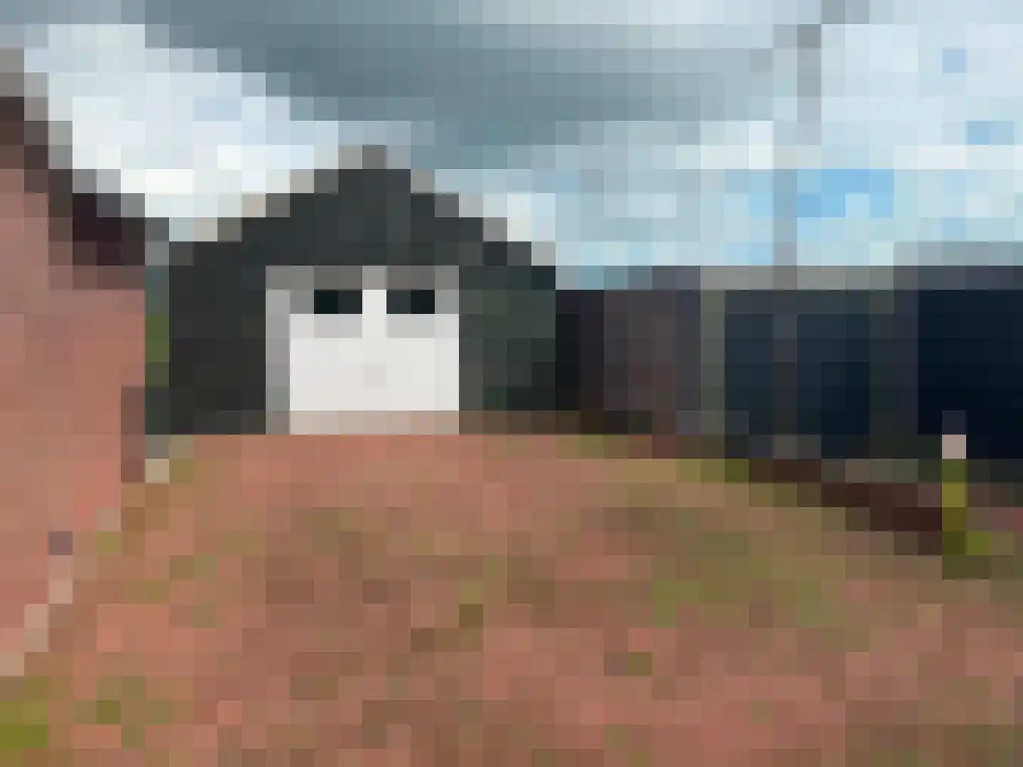 Kwadijk 70 Kwadijk thumbnail 17