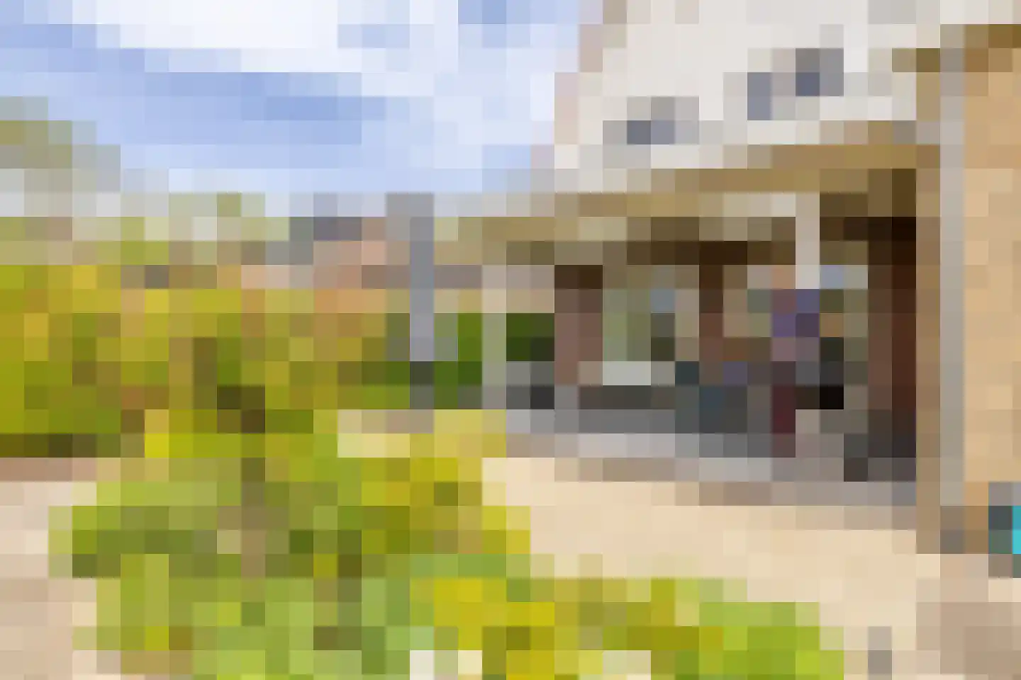 Kwadijk 99 a Kwadijk thumbnail 4