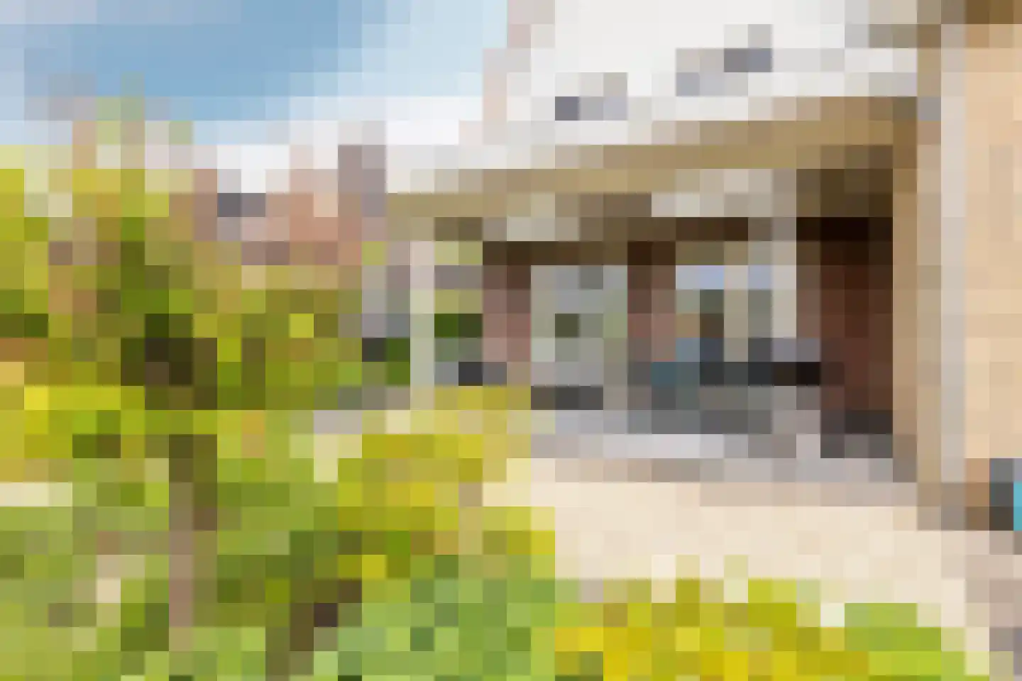 Kwadijk 99 a Kwadijk thumbnail 43