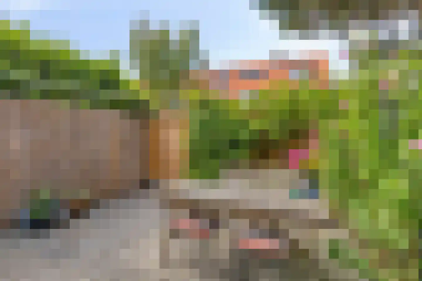 Kwadijkerstraat 15 Amsterdam thumbnail 16