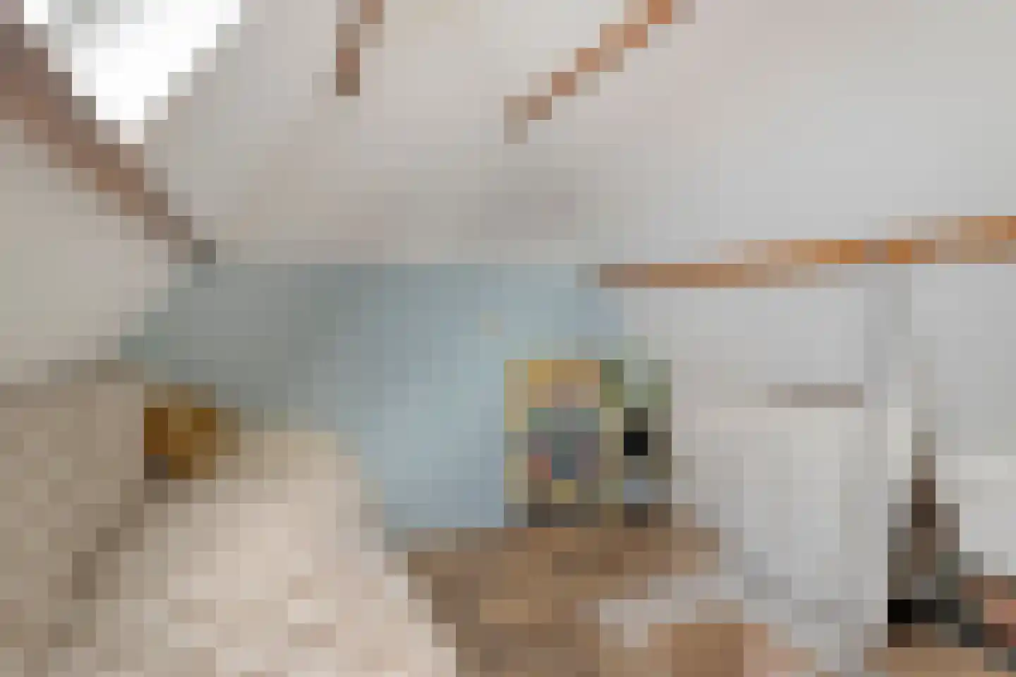Kwadijkerstraat 15 Amsterdam thumbnail 27
