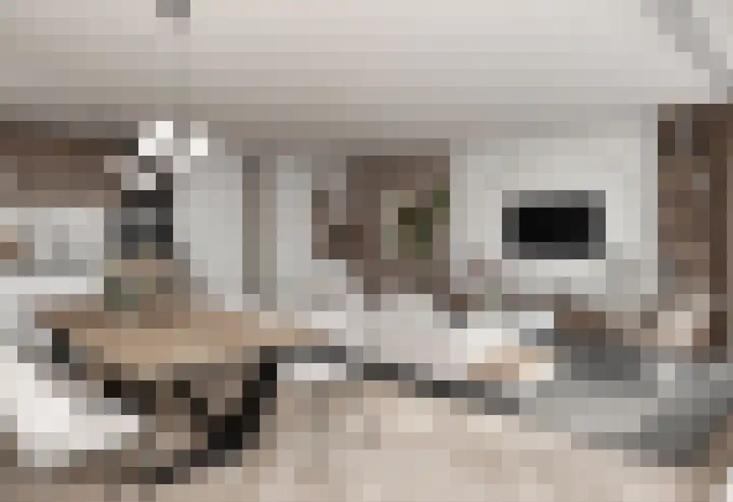 Kwakelkade 17 T Alkmaar thumbnail 4