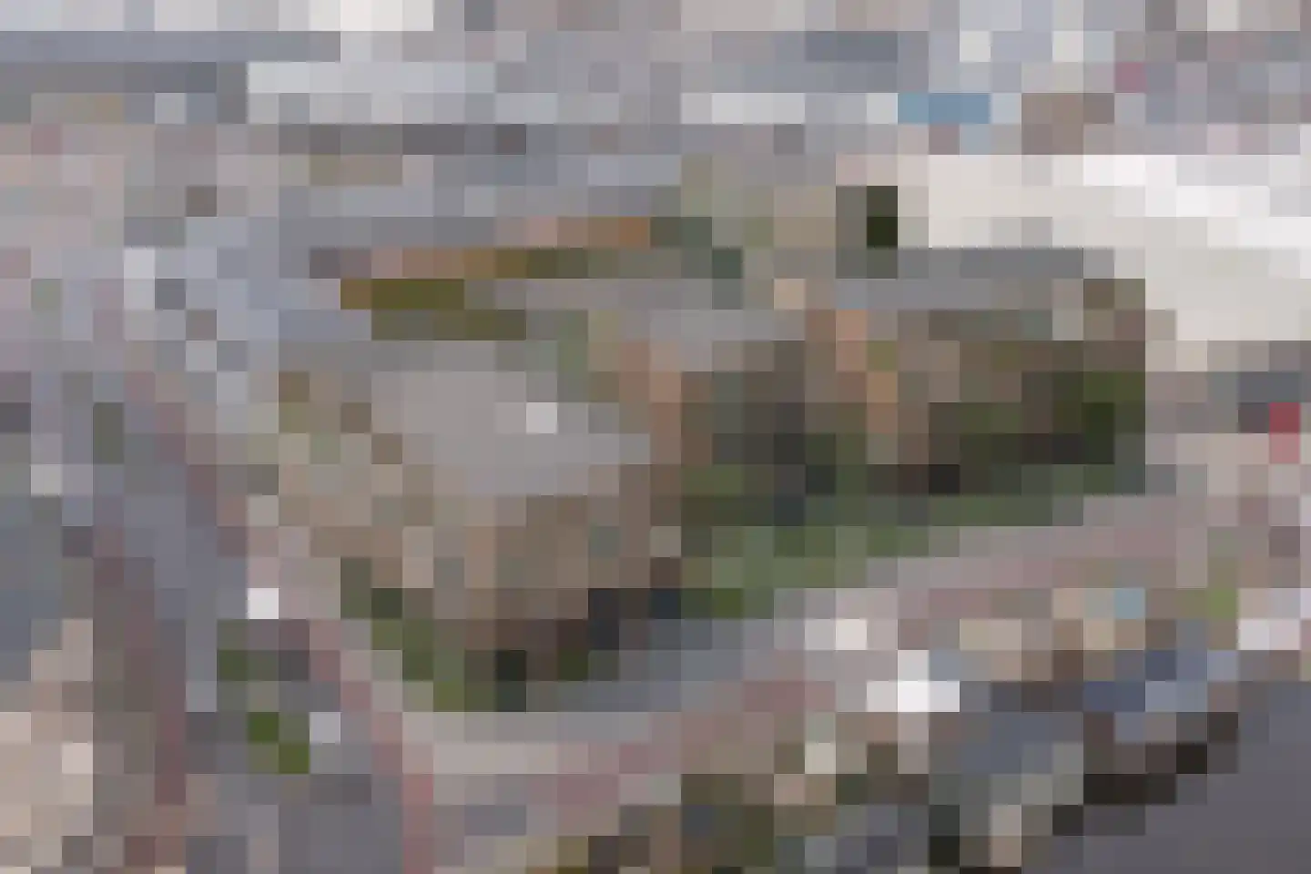 Kwakelkade 19 C Alkmaar thumbnail 5