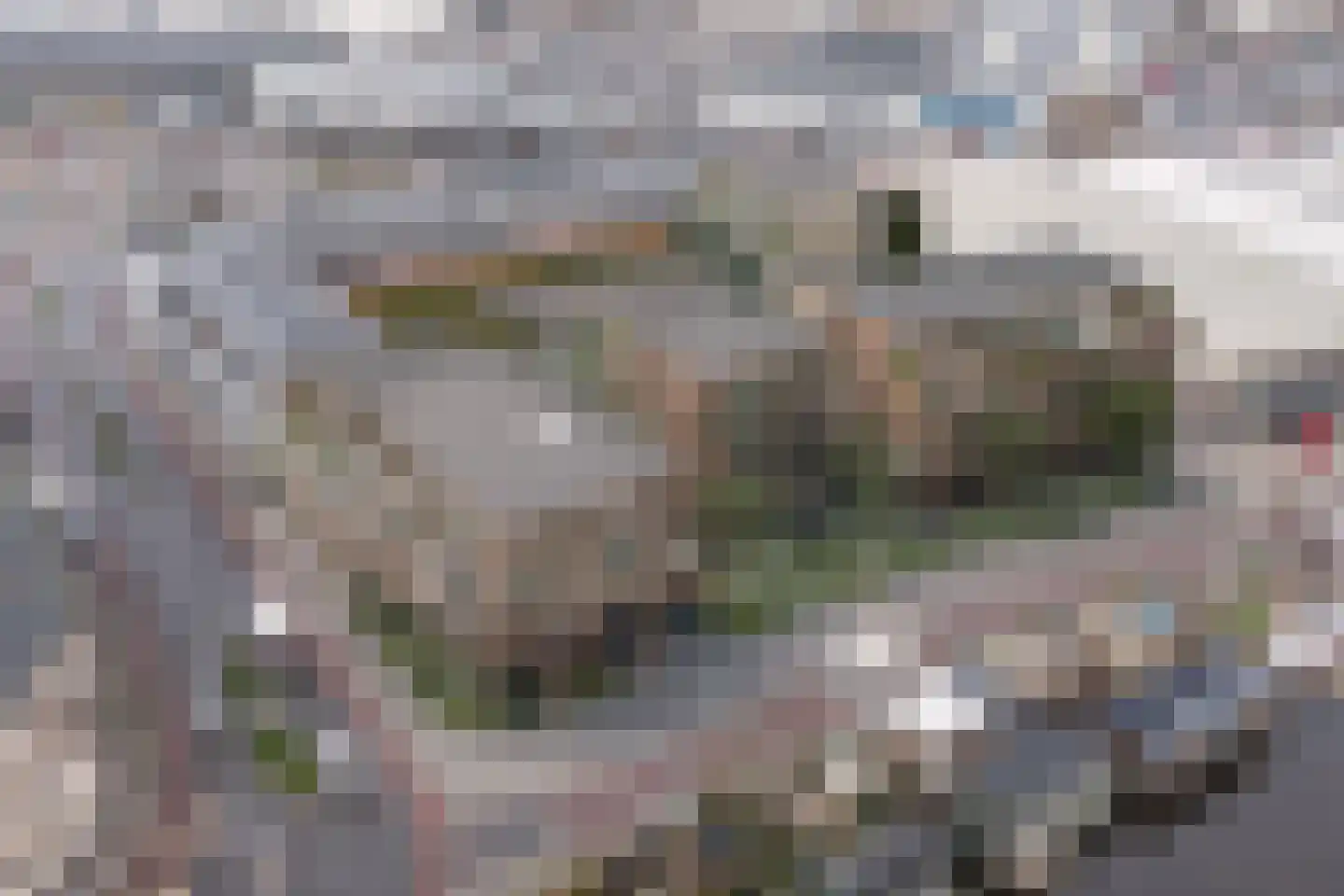 Kwakelkade 19 D Alkmaar thumbnail 5