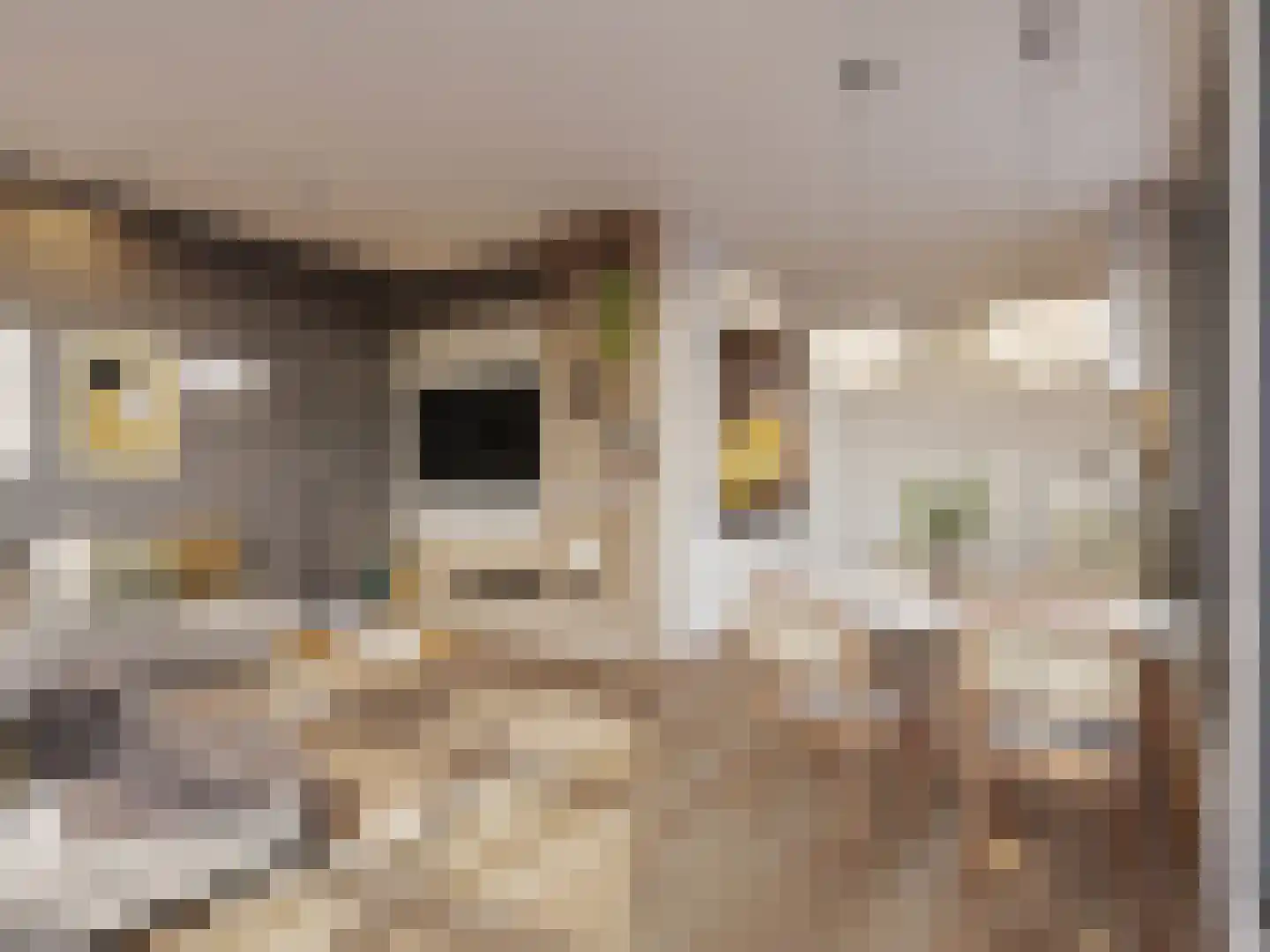 Kwakelkade 19 L Alkmaar thumbnail 4
