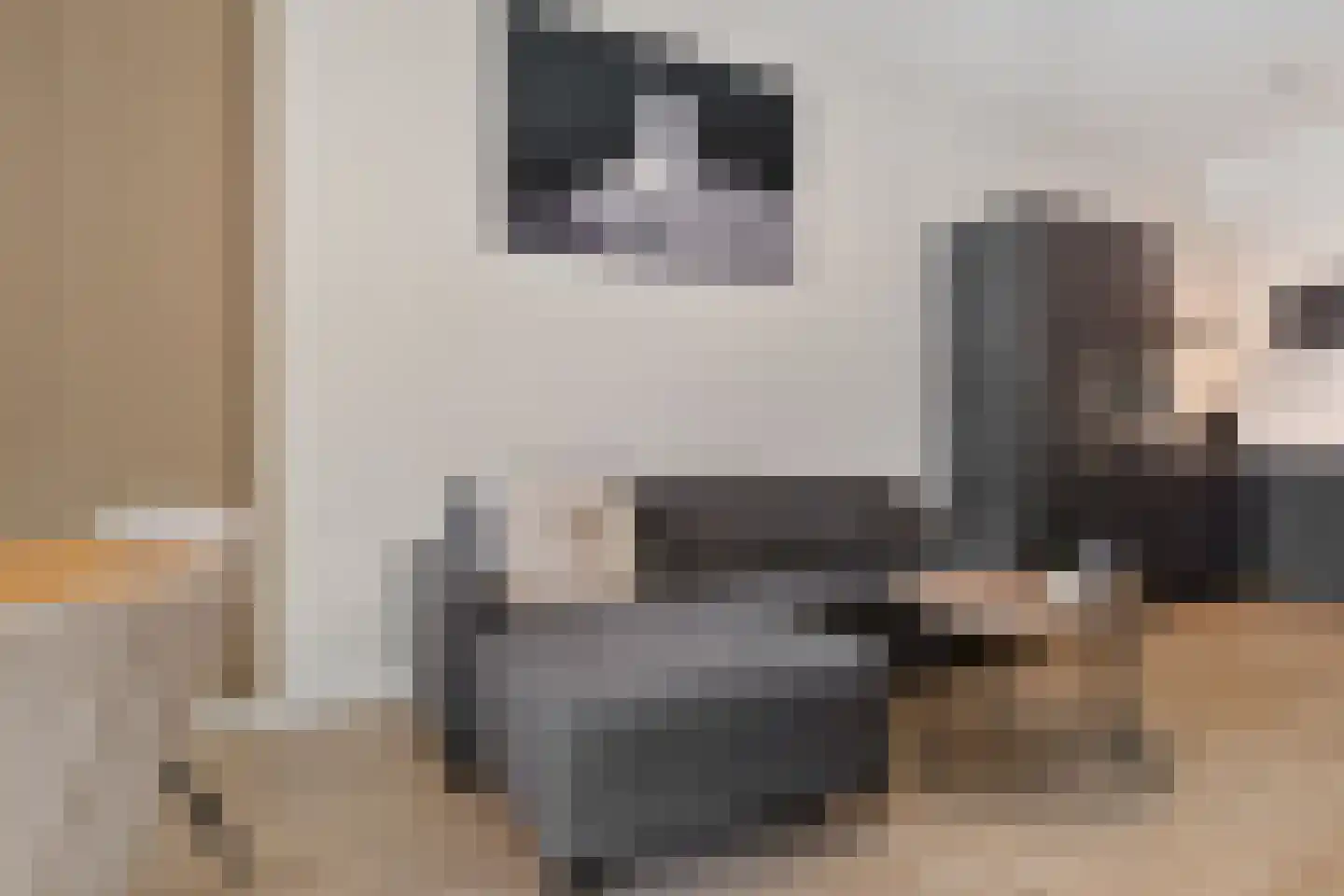 Kwakelkade 2 D Alkmaar thumbnail 22