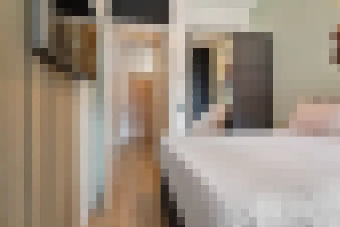 Kwakelkade 2 D Alkmaar thumbnail 28