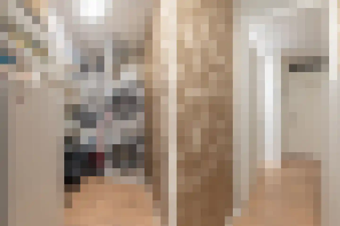 Kwakelkade 3 C Alkmaar thumbnail 23