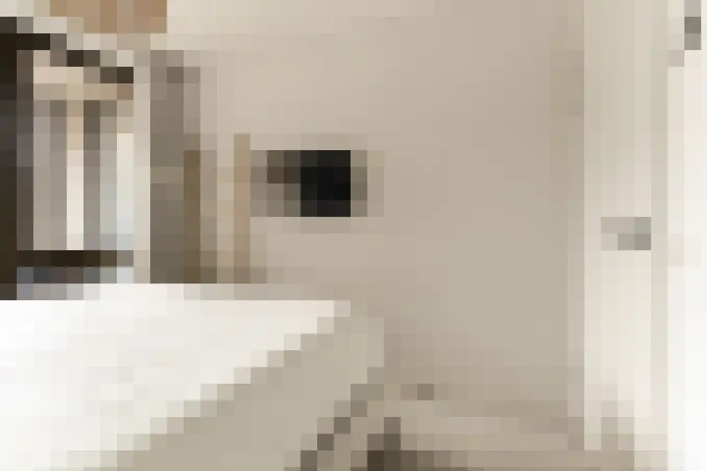 Kwakelkade 3 E Alkmaar thumbnail 18