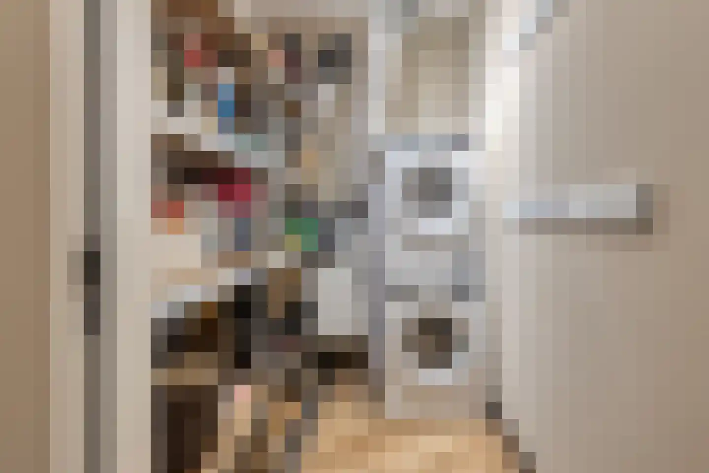 Kwakelkade 4 C Alkmaar thumbnail 31