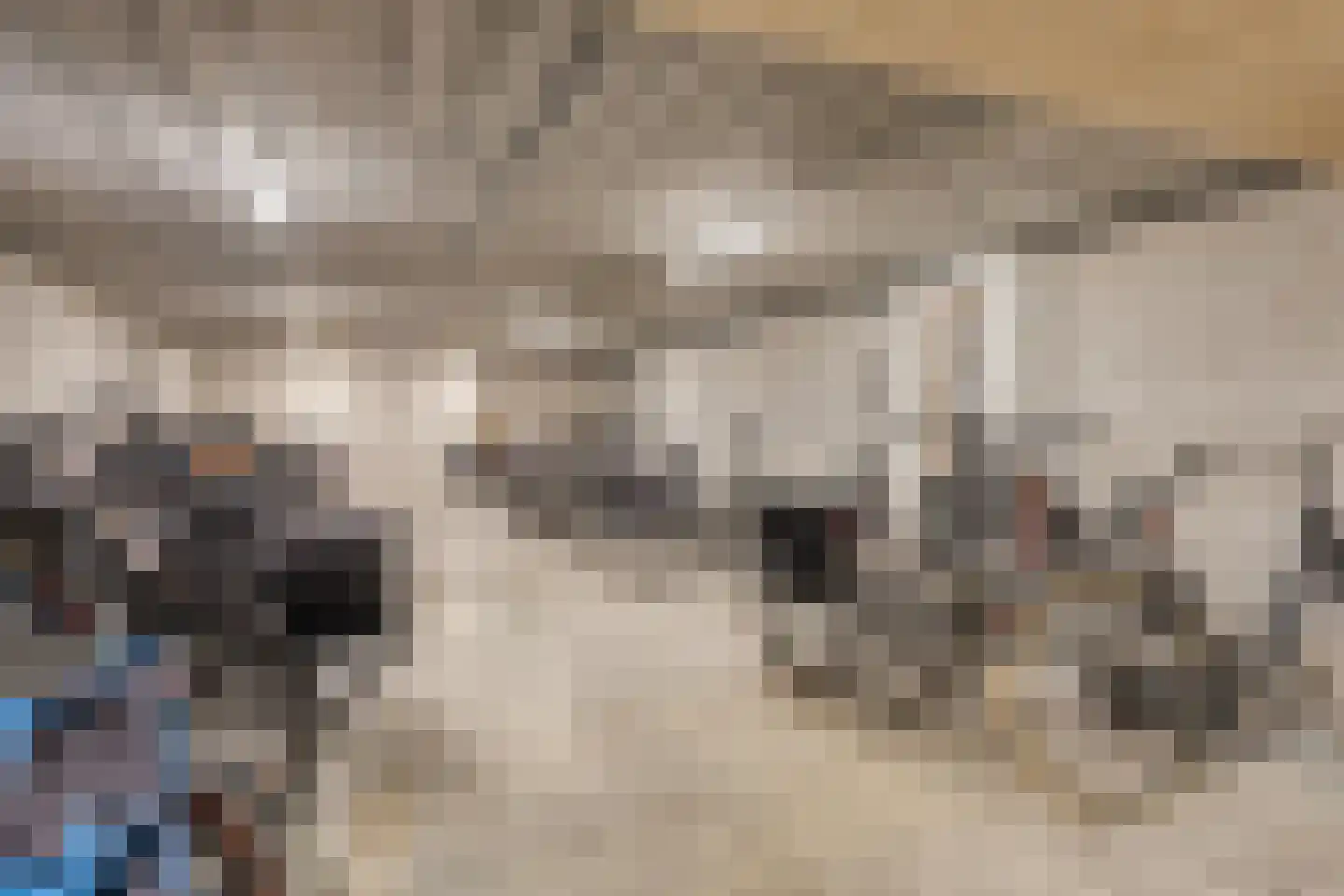 Kwakelkade 4 C Alkmaar thumbnail 41