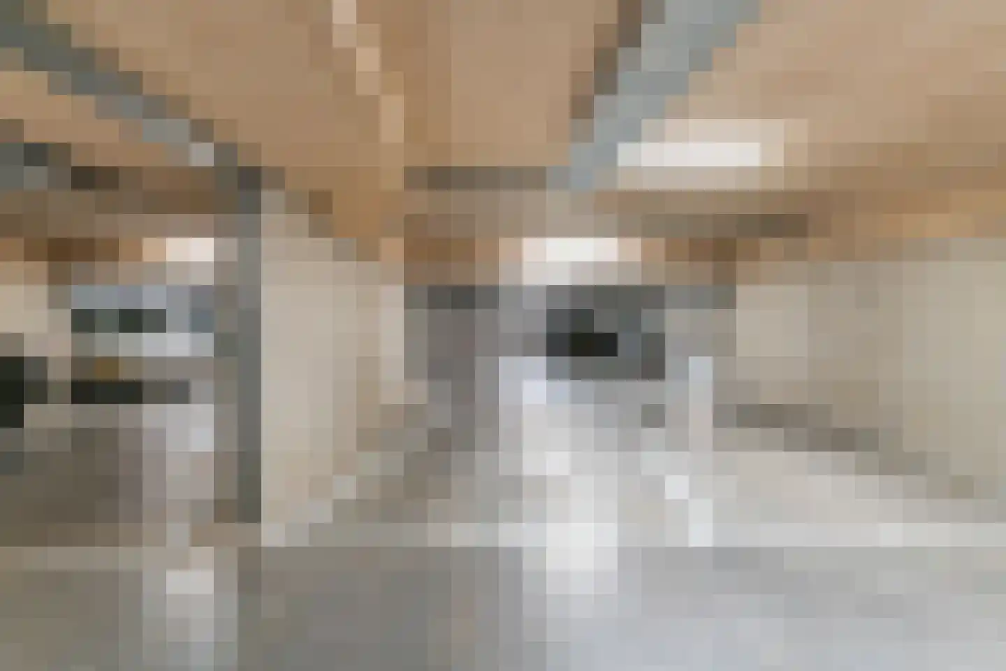 Kwakelkade 4 D Alkmaar thumbnail 24