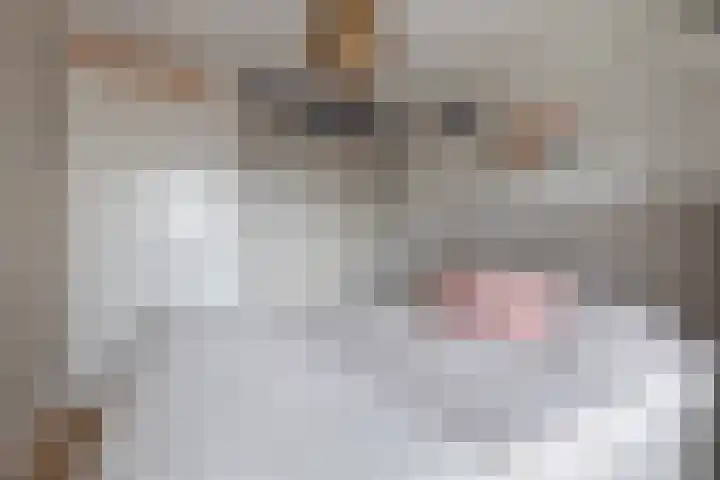 Kwakelkade 4 E Alkmaar thumbnail 28
