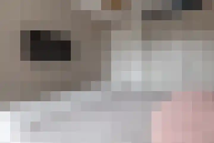Kwakelkade 4 E Alkmaar thumbnail 29